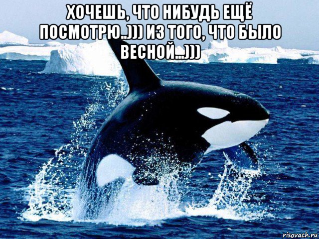 хочешь, что нибудь ещё посмотрю..))) из того, что было весной...))) , Мем Косатки или киты убийцы черный плавник