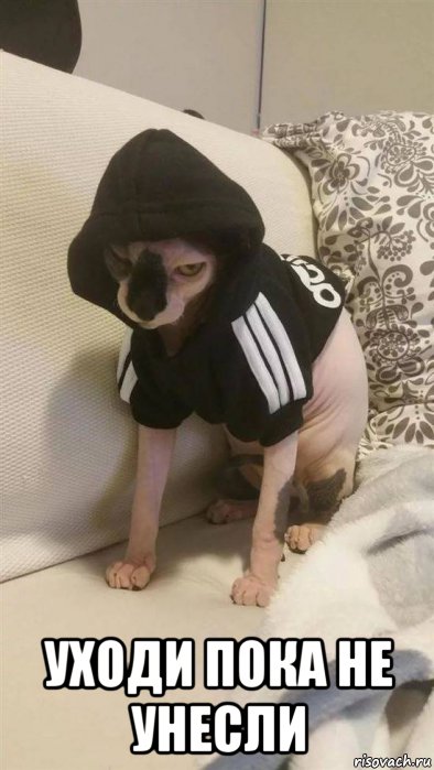  уходи пока не унесли
