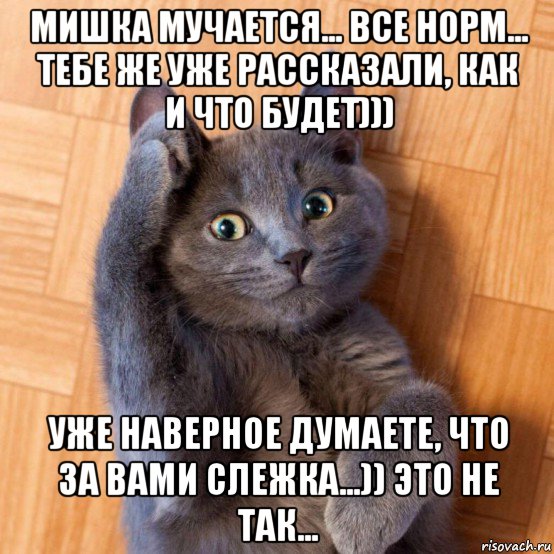 мишка мучается... все норм... тебе же уже рассказали, как и что будет))) уже наверное думаете, что за вами слежка...)) это не так..., Мем Кот отдает честь