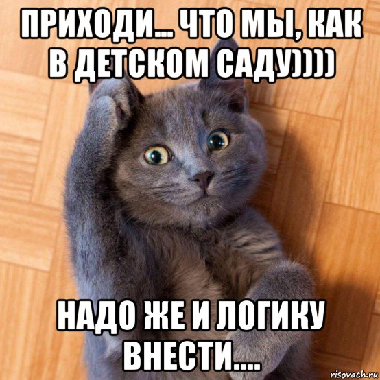 приходи... что мы, как в детском саду)))) надо же и логику внести...., Мем Кот отдает честь