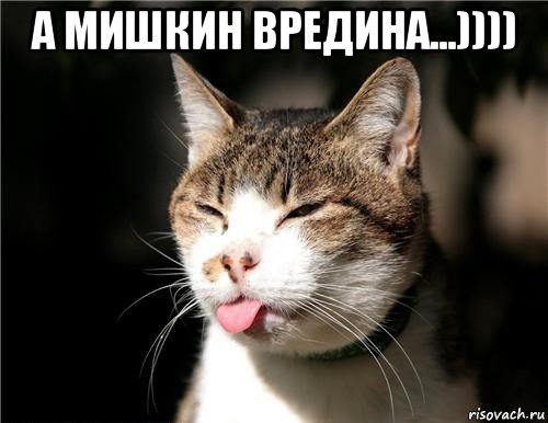 а мишкин вредина...)))) , Мем кот с языком