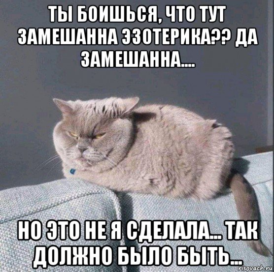 ты боишься, что тут замешанна эзотерика?? да замешанна.... но это не я сделала... так должно было быть..., Мем Кот