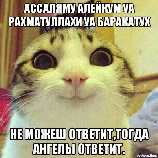 ассаляму алейкум уа рахматуллахи уа баракатух не можеш ответит,тогда ангелы ответит., Мем       Котяка-улыбака