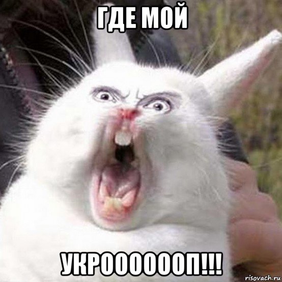 где мой укрооооооп!!!