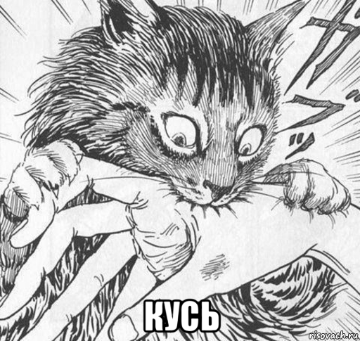  кусь, Мем Кусь