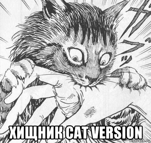  хищник cat version, Мем Кусь