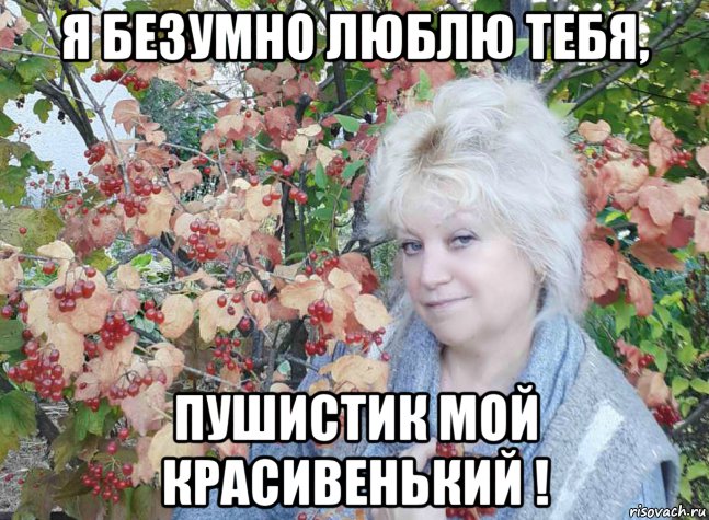 я безумно люблю тебя, пушистик мой красивенький !, Мем ЛИЧИКО
