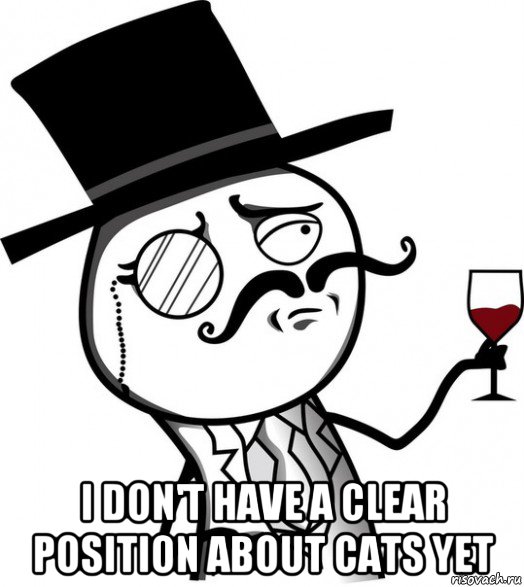  i don't have a clear position about cats yet, Мем like a sir