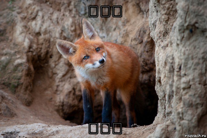 ⸮⸮⸮ ⸮⸮⸮