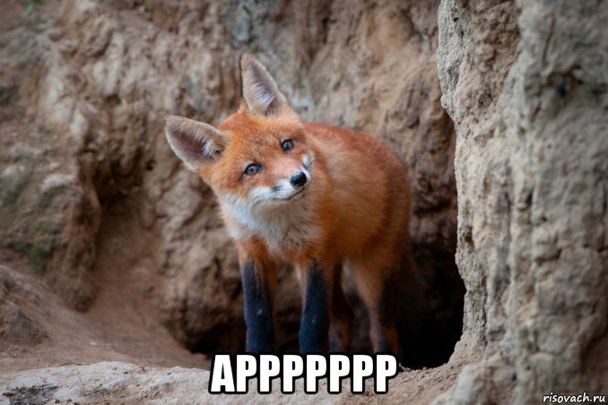  аррррррр