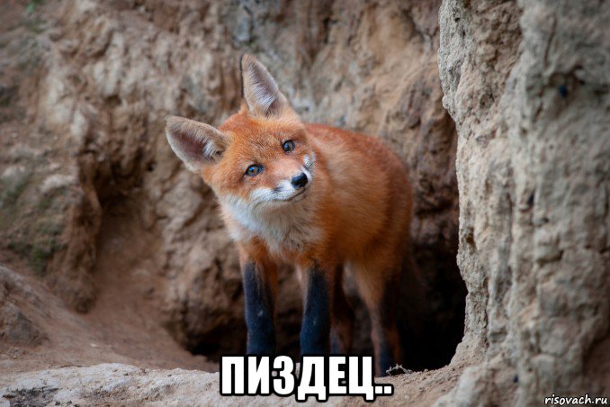  пиздец..