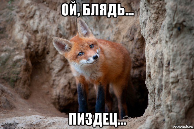 ой, блядь... пиздец...