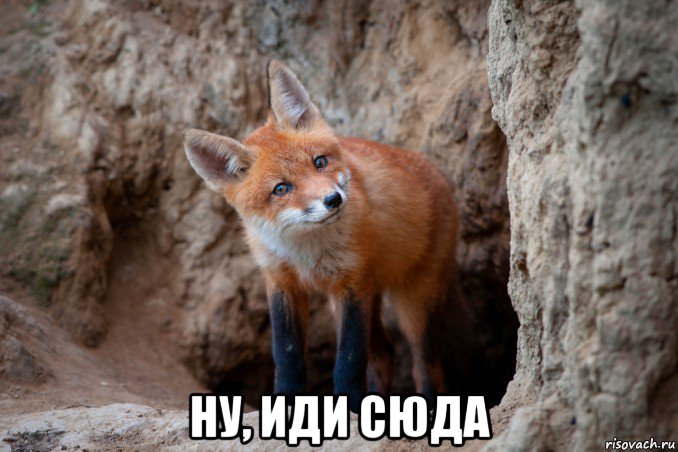  ну, иди сюда