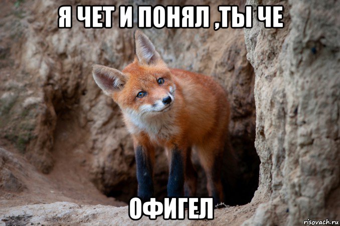 я чет и понял ,ты че офигел