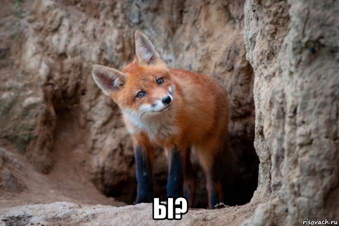 ы?