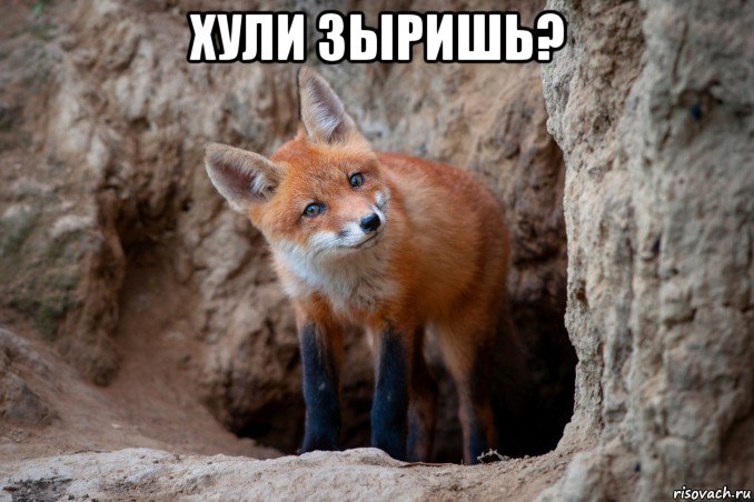 хули зыришь? 