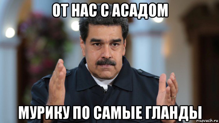 от нас с асадом мурику по самые гланды