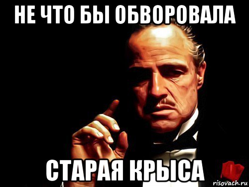 не что бы обворовала старая крыса