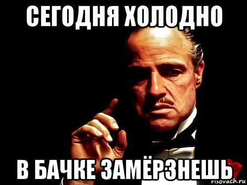 сегодня холодно в бачке замёрзнешь