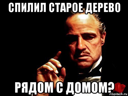 спилил старое дерево рядом с домом?