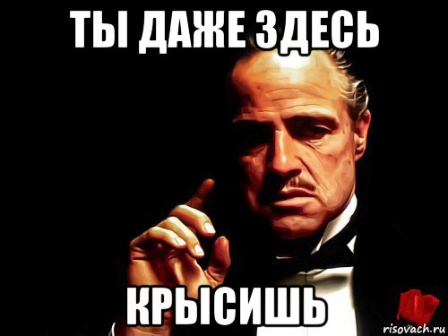 ты даже здесь крысишь