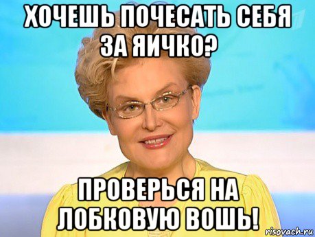 хочешь почесать себя за яичко? проверься на лобковую вошь!
