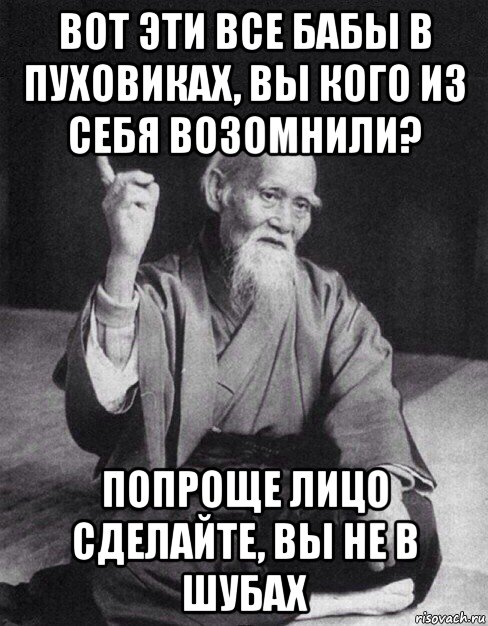 вот эти все бабы в пуховиках, вы кого из себя возомнили? попроще лицо сделайте, вы не в шубах, Мем Монах-мудрец (сэнсей)