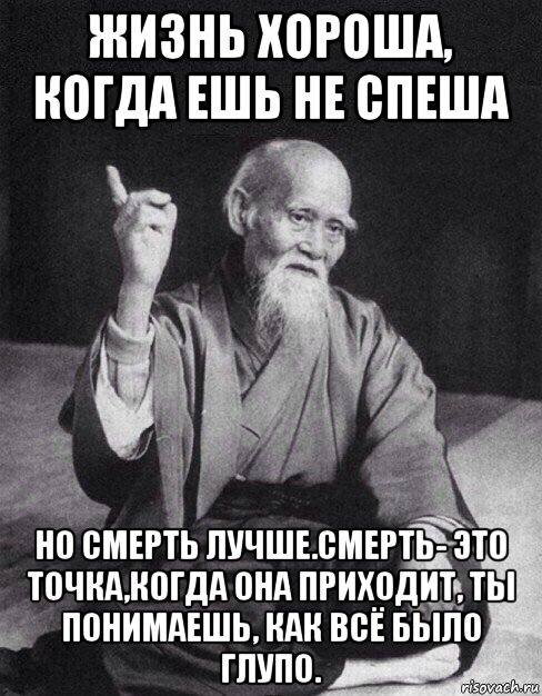 жизнь хороша, когда ешь не спеша но смерть лучше.смерть- это точка,когда она приходит, ты понимаешь, как всё было глупо., Мем Монах-мудрец (сэнсей)