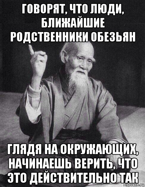 говорят, что люди, ближайшие родственники обезьян глядя на окружающих, начинаешь верить, что это действительно так, Мем Монах-мудрец (сэнсей)