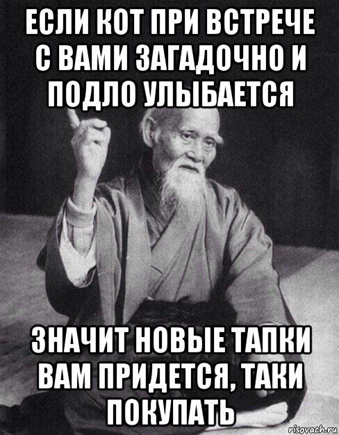 если кот при встрече с вами загадочно и подло улыбается значит новые тапки вам придется, таки покупать, Мем Монах-мудрец (сэнсей)