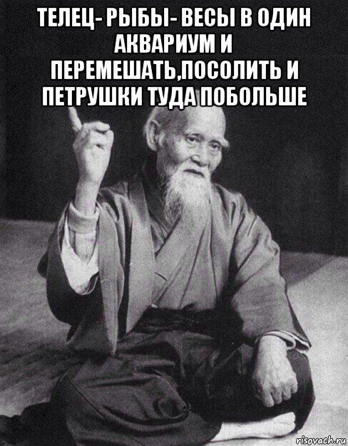 телец- рыбы- весы в один аквариум и перемешать,посолить и петрушки туда побольше , Мем Монах-мудрец (сэнсей)