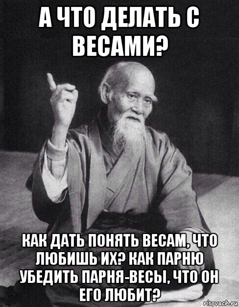 а что делать с весами? как дать понять весам, что любишь их? как парню убедить парня-весы, что он его любит?, Мем Монах-мудрец (сэнсей)