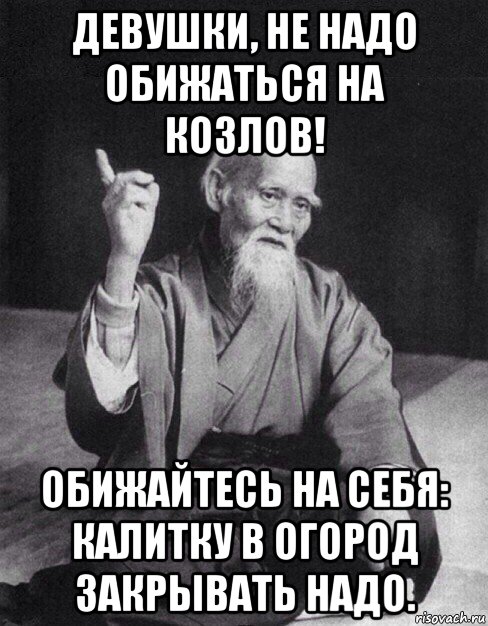 девушки, не надо обижаться нa козлов! обижайтесь на себя: кaлитку в огород закрывать надо., Мем Монах-мудрец (сэнсей)