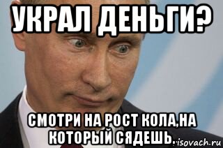 украл деньги? смотри на рост кола,на который сядешь., Мем Морда путина