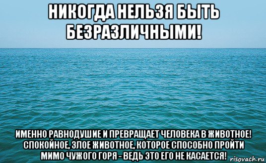 никогда нельзя быть безразличными! именно равнодушие и превращает человека в животное! спокойное, злое животное, которое способно пройти мимо чужого горя - ведь это его не касается!, Мем Море