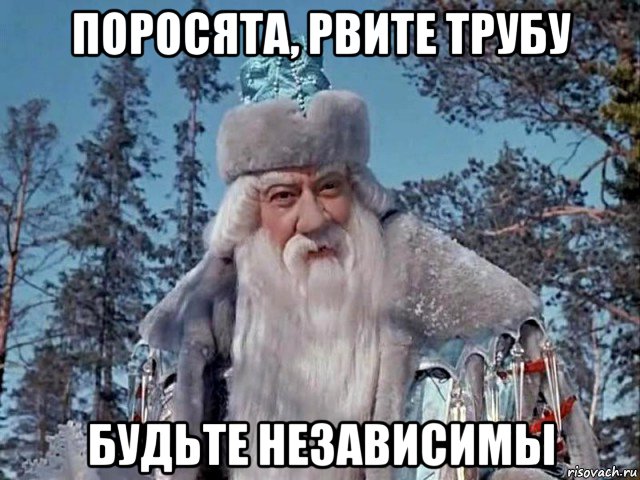 поросята, рвите трубу будьте независимы