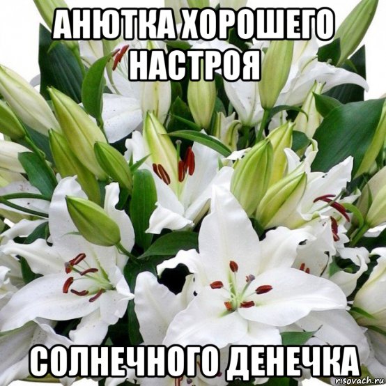 анютка хорошего настроя солнечного денечка, Мем Мой