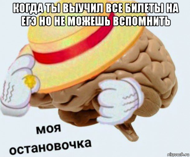 когда ты выучил все билеты на егэ но не можешь вспомнить , Мем   Моя остановочка мозг