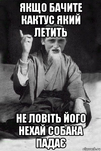 якщо бачите кактус який летить не ловіть його нехай собака падає, Мем Мудрий паца