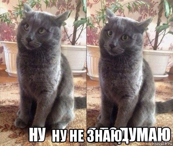  ну не знаю