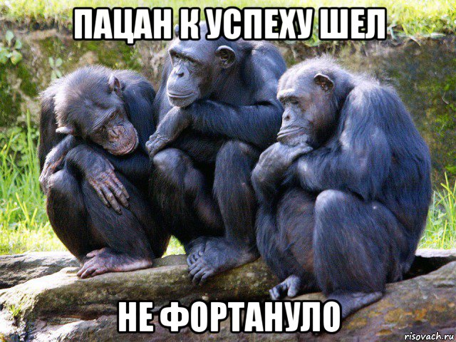 пацан к успеху шел не фортануло, Мем Обезьяны