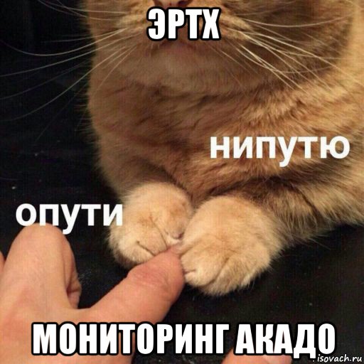 эртх мониторинг акадо