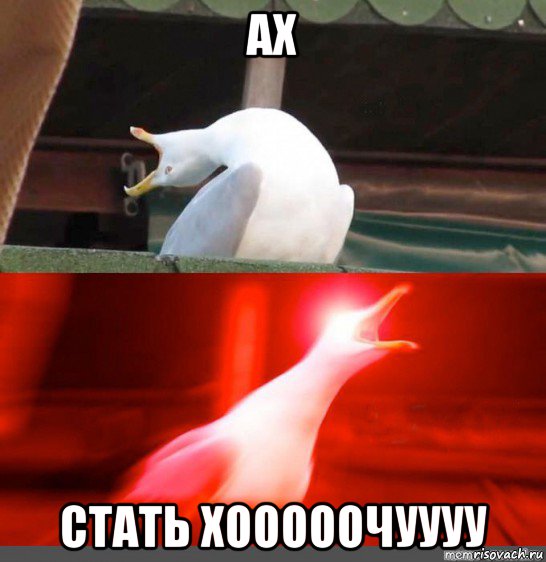 ах стать хооооочуууу, Мем Орущий гусь