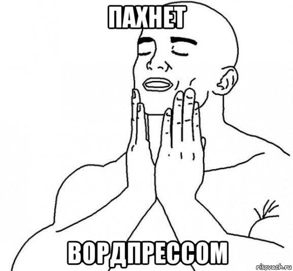 пахнет вордпрессом, Мем Перфекционист