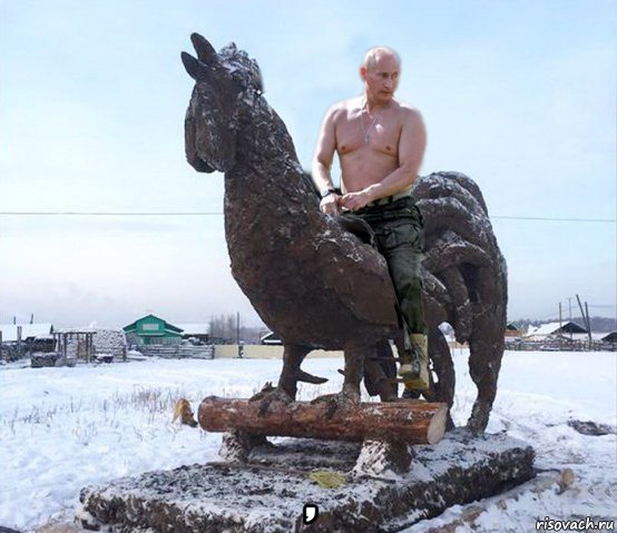  ,, Мем Петух из говна HD
