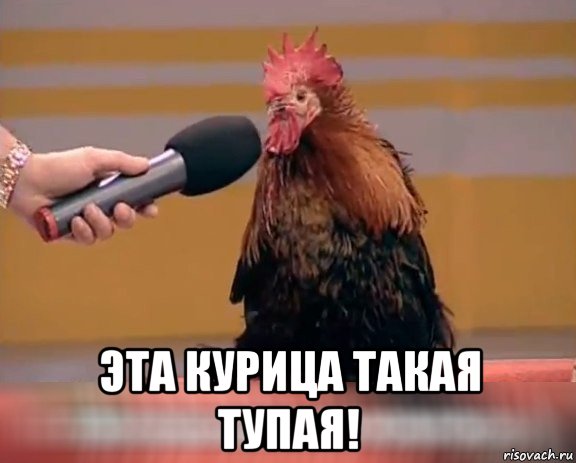  эта курица такая тупая!