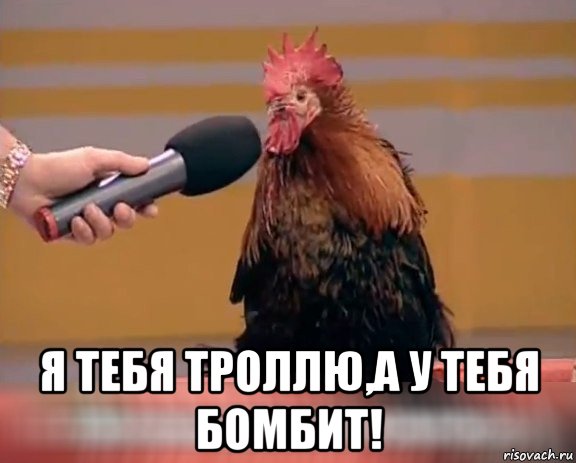  я тебя троллю,а у тебя бомбит!