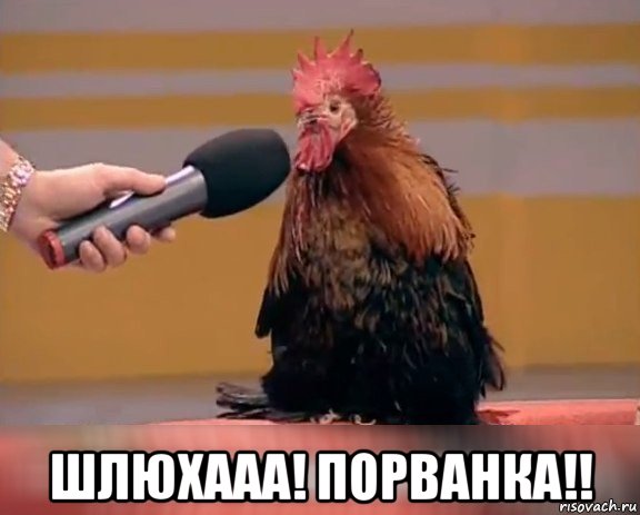  шлюхааа! порванка!!