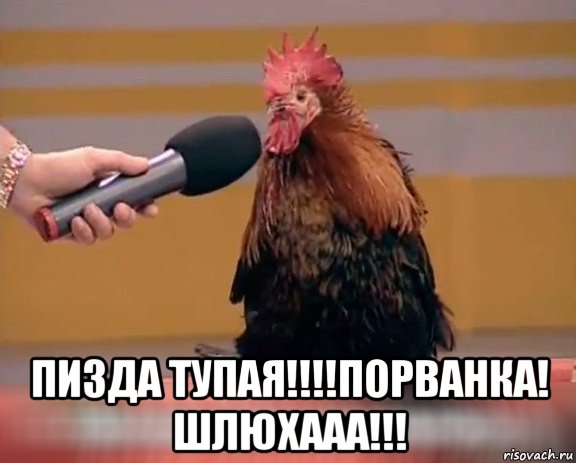  пизда тупая!!!!порванка! шлюхааа!!!