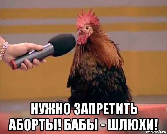  нужно запретить аборты! бабы - шлюхи!